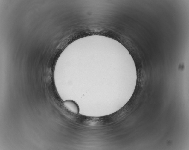 X0000112460563200909281023
