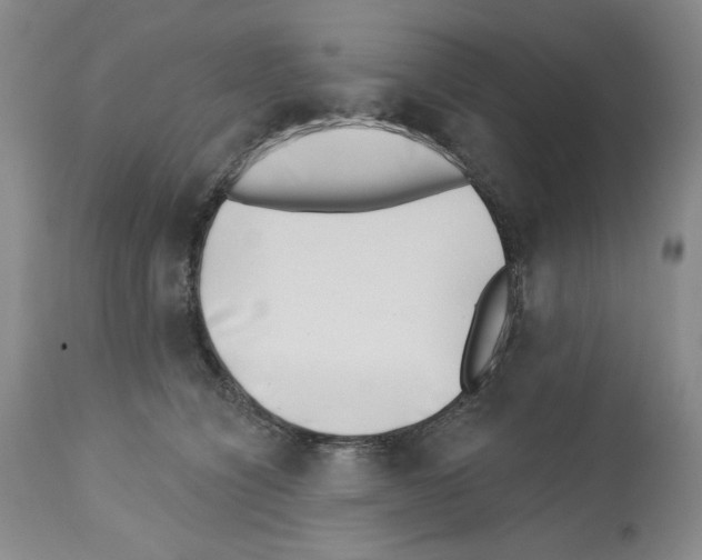 X0000112460564200909281023