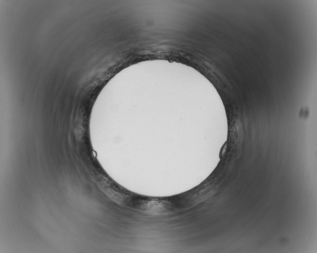 X0000112460566200909281023