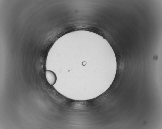 X0000112460567200909281023