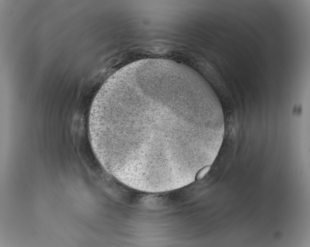 X0000112460568200909281023