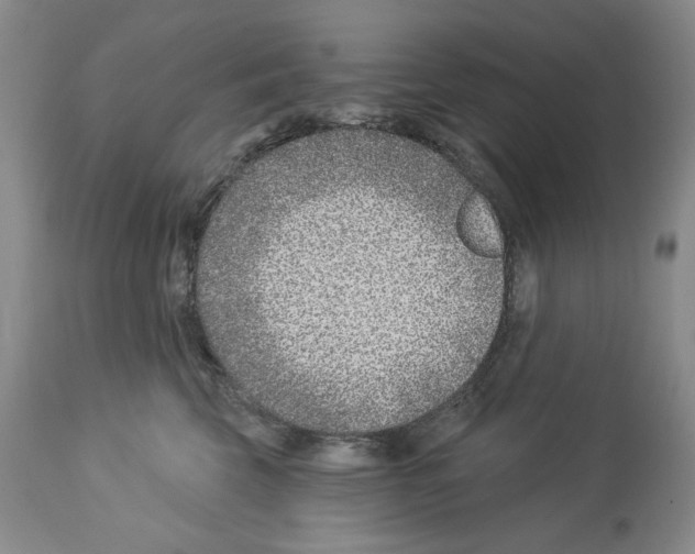 X0000112460569200909281023