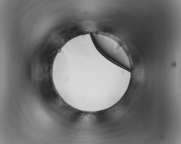 X0000112460572200909281023