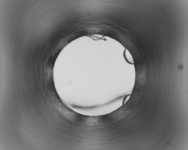 X0000112460574200909281023