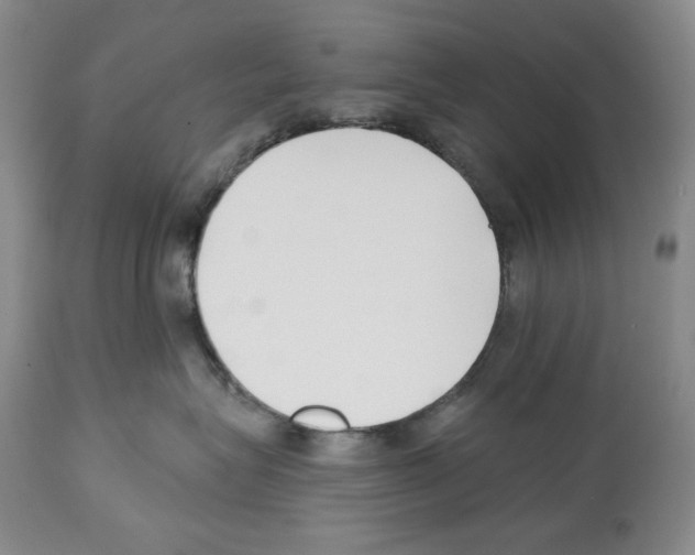 X0000112460575200909281023
