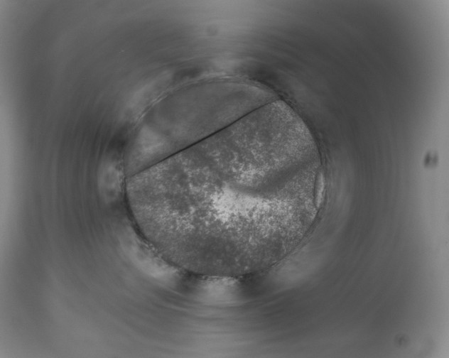 X0000112460576200909281024