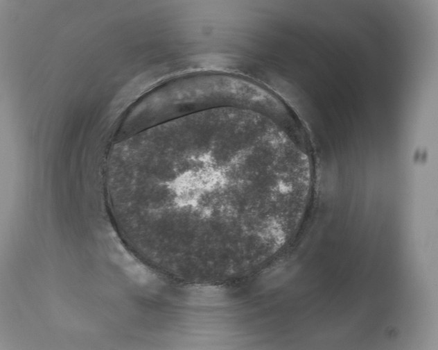 X0000112460577200909281023