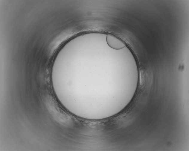 X0000112460579200909281023