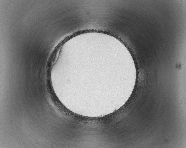 X0000112460580200909281023