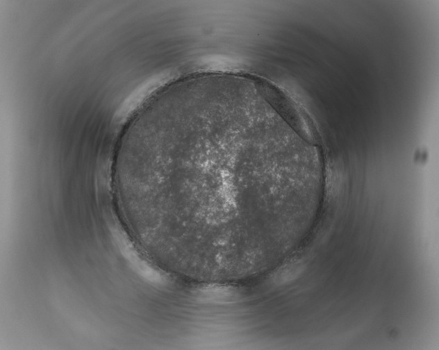 X0000112460581200909281023