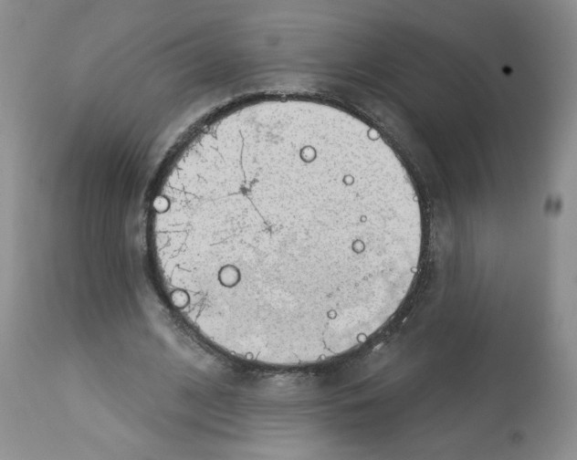 X0000112460584200909281023