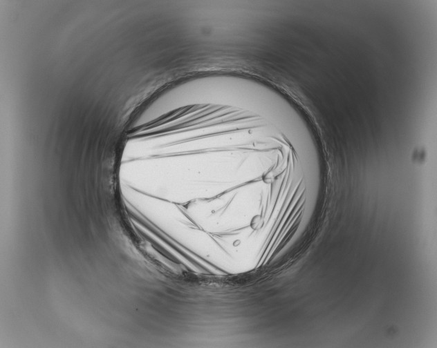 X0000112460585200909281023