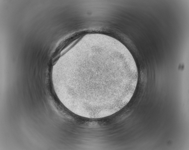 X0000112460588200909281023