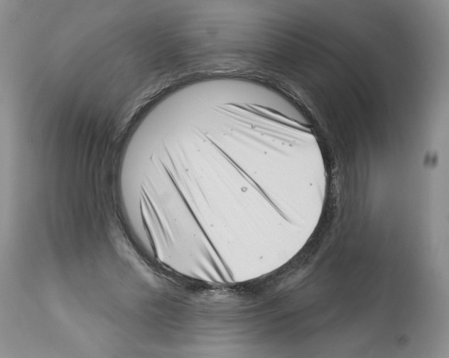 X0000112460589200909281023