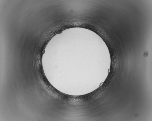 X0000112460593200909281023