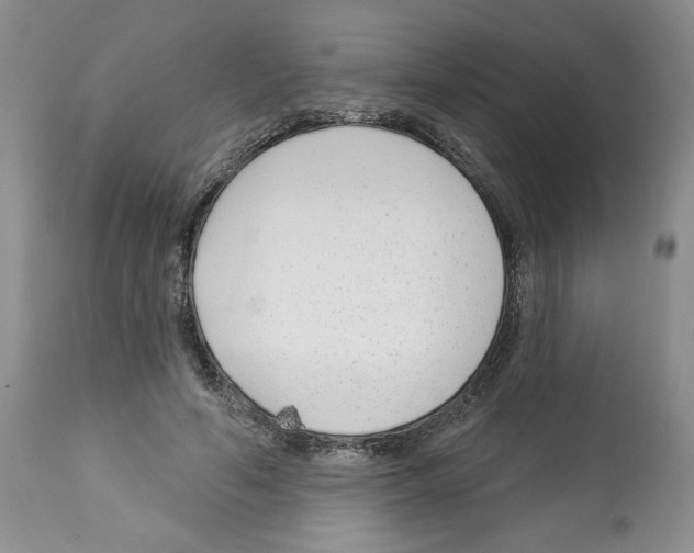 X0000112460594200909281023