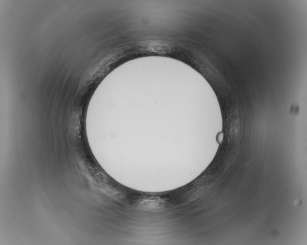 X0000112460595200909281022