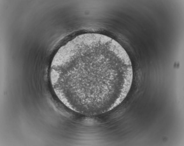 X0000112460596200909281022