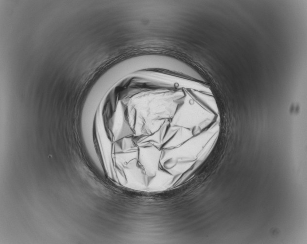 X0000112460597200909281022