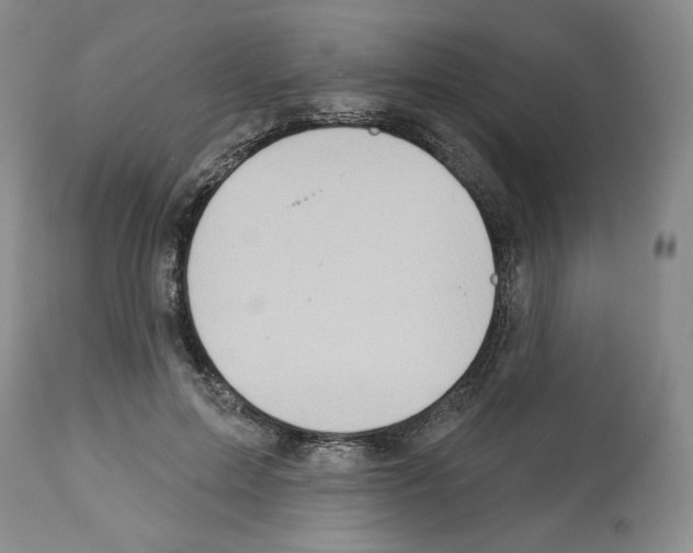 X0000112460599200909281022