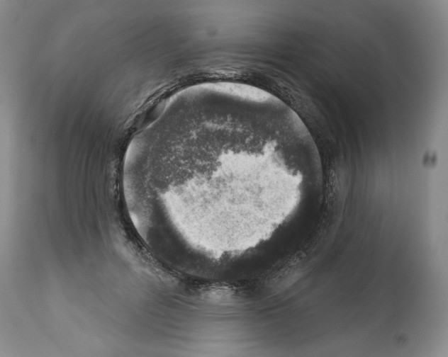 X0000112460600200909281022
