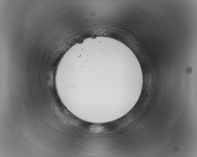 X0000112460602200909281022