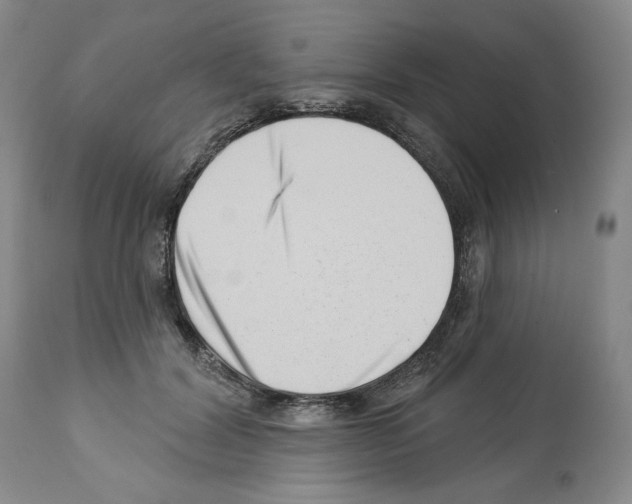 X0000112460604200909281022