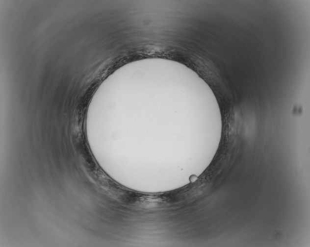 X0000112460607200909281022