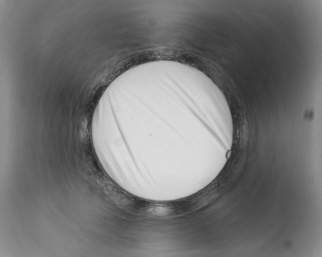 X0000112460610200909281022