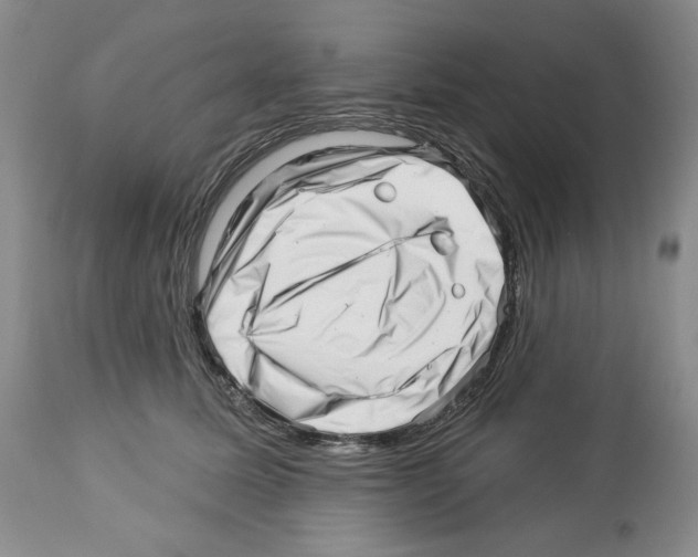 X0000112460611200909281022