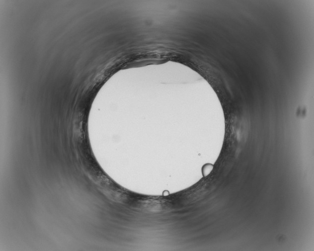 X0000112460615200909281022