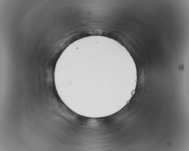 X0000112460616200909281022