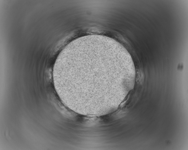 X0000112460621200909281022