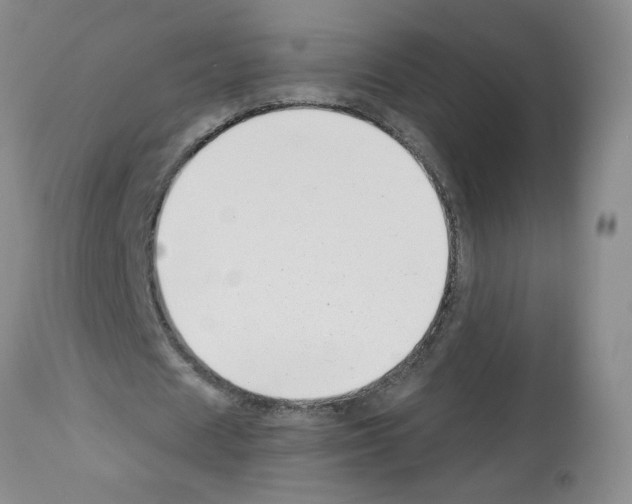 X0000112460625200909281021