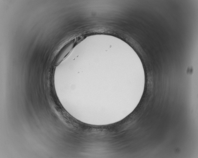 X0000112460626200909281021