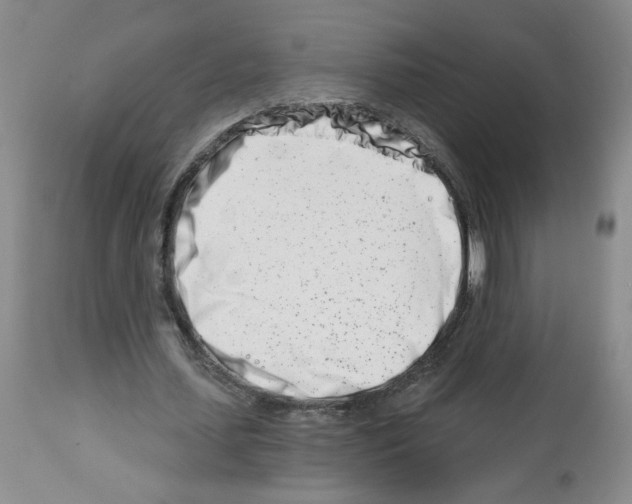 X0000112460627200909281021