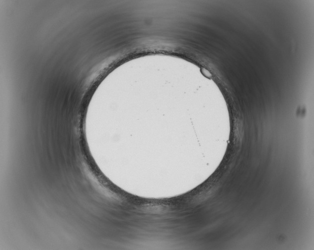 X0000112460629200909281021