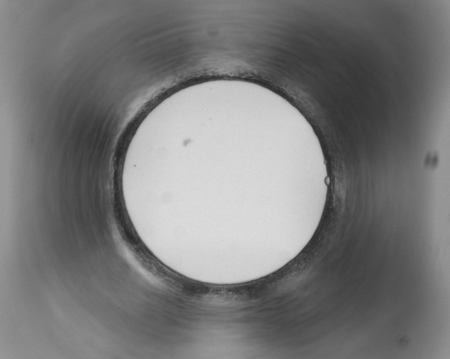 X0000112460630200909281021