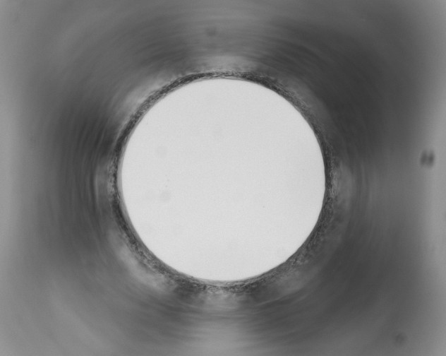 X0000112460632200909281021