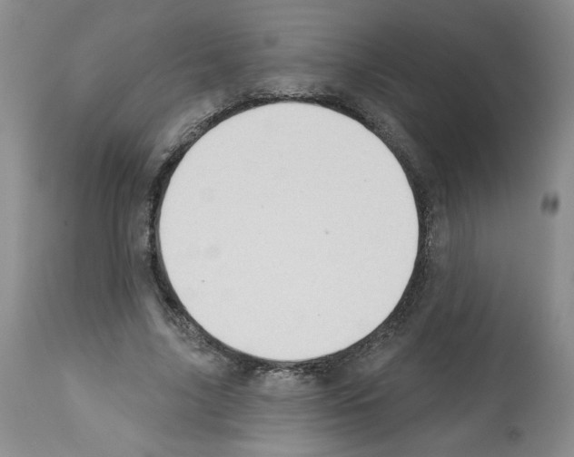 X0000112460635200909281021