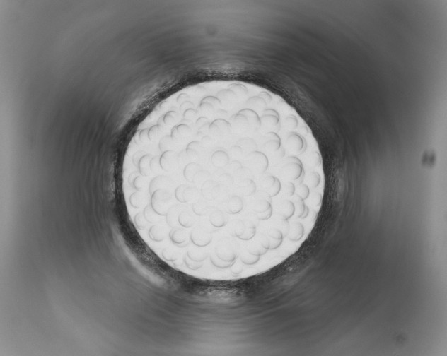 X0000112460638200909281021