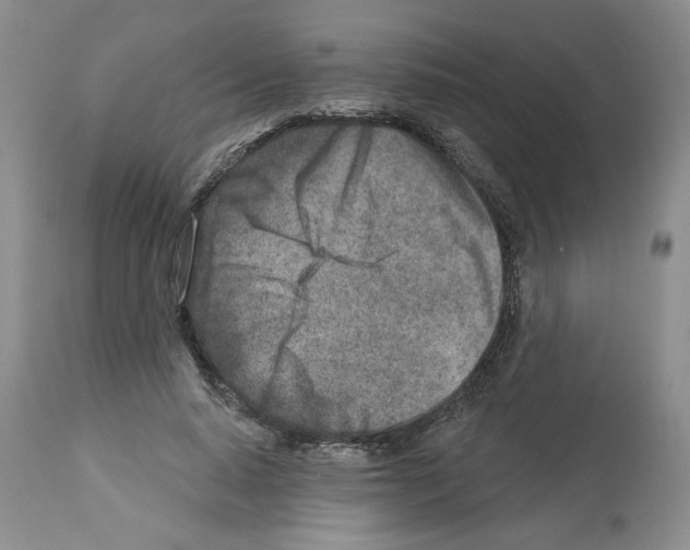 X0000112460640200909281021