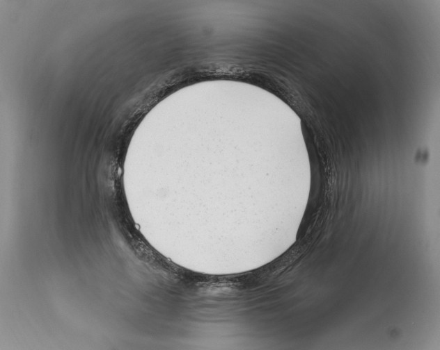X0000112460643200909281021