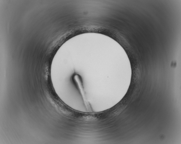 X0000112460644200909281021