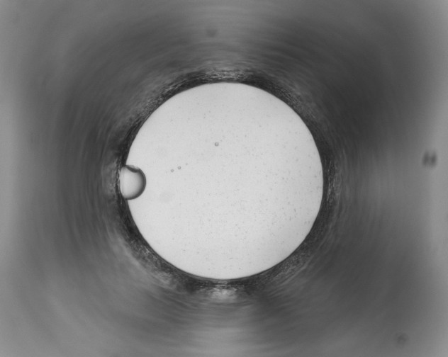 X0000112460647200909281021