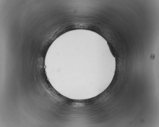 X0000112460649200909281021