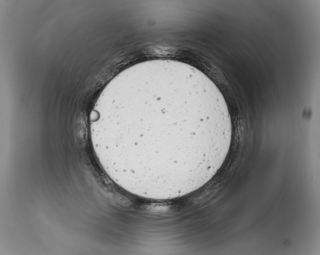 X0000112460651200909281021