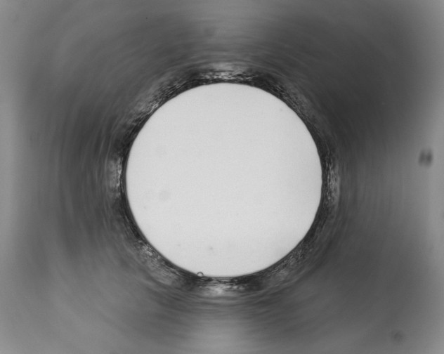X0000112460657200909281022