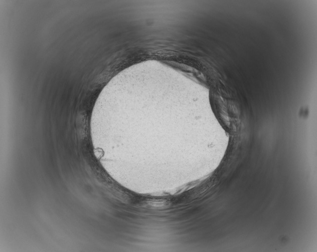 X0000112460659200909281022