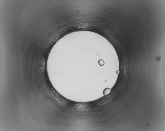 X0000112460660200909281022